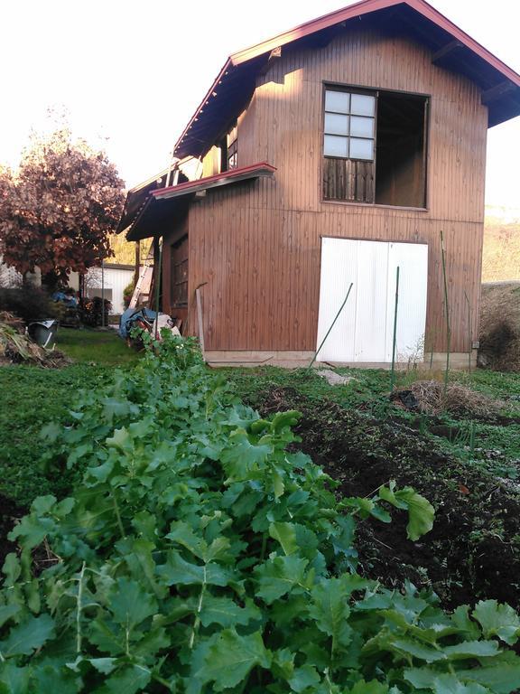 Madarao Farm Villa Nakano  Dış mekan fotoğraf