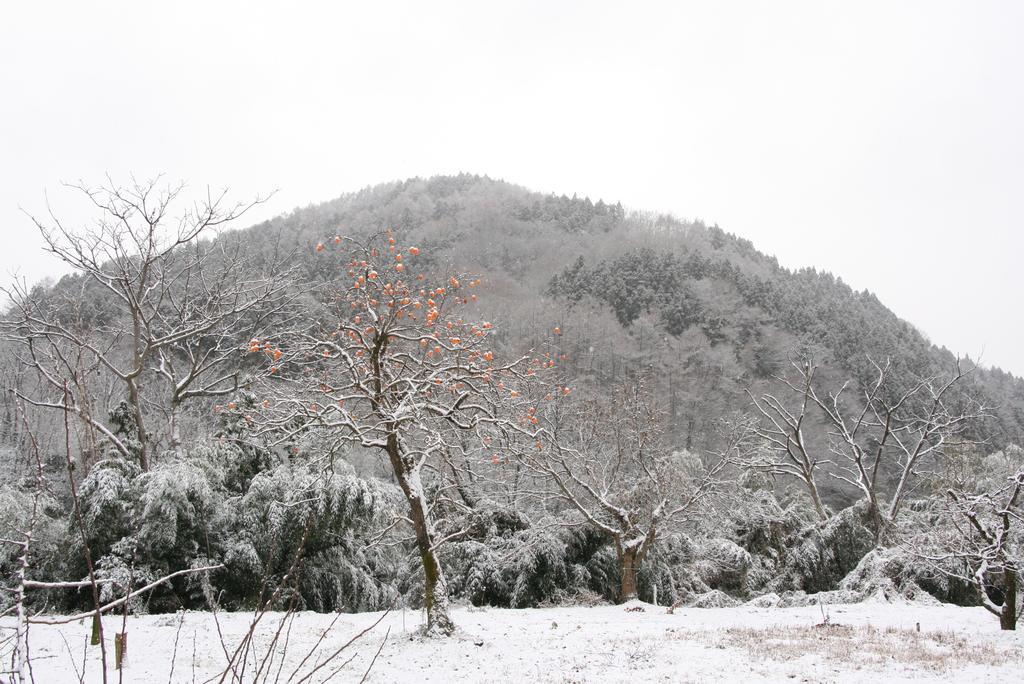 Madarao Farm Villa Nakano  Dış mekan fotoğraf