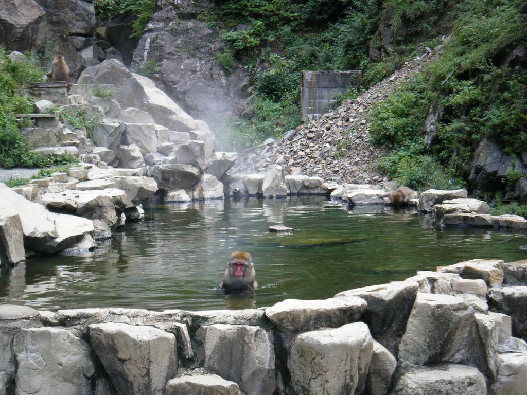 Madarao Farm Villa Nakano  Dış mekan fotoğraf